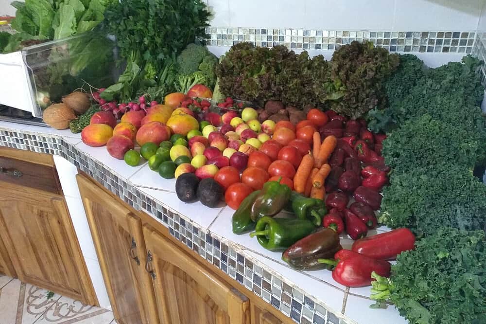 7 Day Jungle Juice Cleanse & Detox, Costa Rica 8