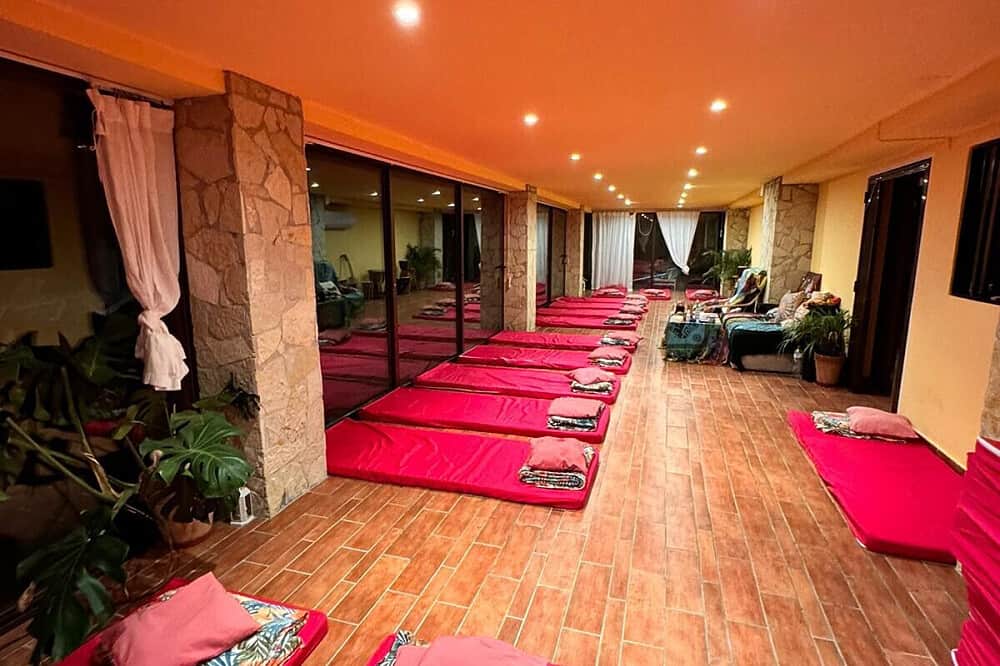 2 Day Flexible Plant Medicine Retreat (French Only), Barcelona 3