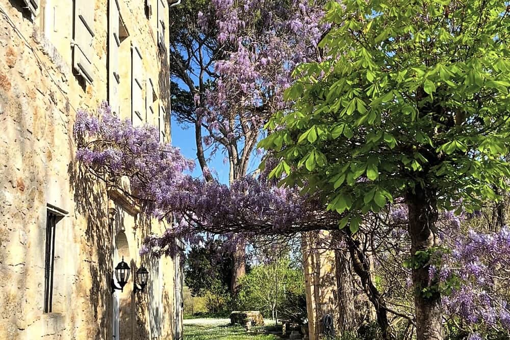 5 Day In Her Skin: Beauty Embodied Women's Retreat in France 3