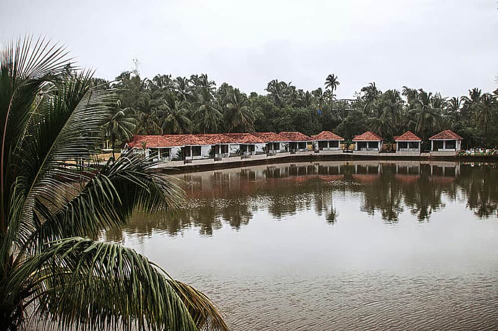 8 Day Osho Mindfulness & Meditation Group Retreat in Goa, India 4