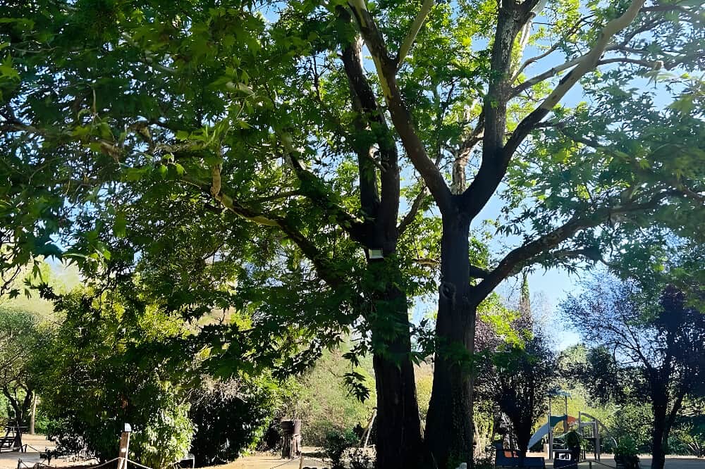 5 Day New Year’s Camp: MASKS OFF For LOVE in Girona, Spain 4