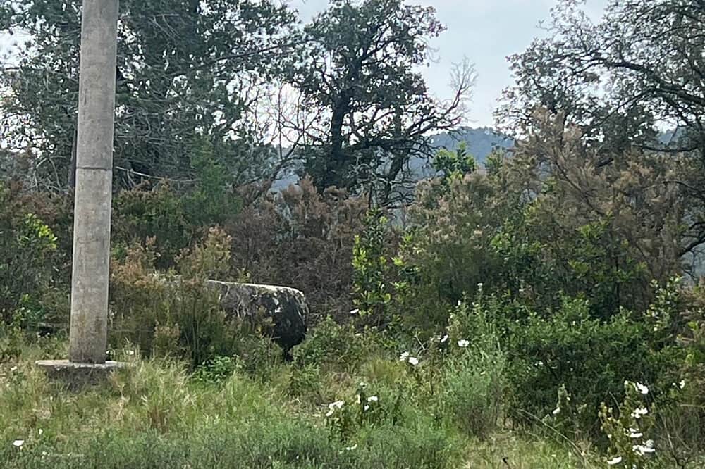 5 Day New Year’s Camp: MASKS OFF For LOVE in Girona, Spain 6