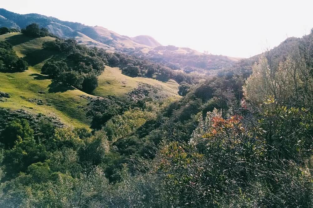 4 Day Reclaim - A Men's Yoga Retreat in California, USA 8