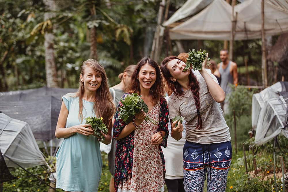 7 Day Sati Sadhana: The Practice of Mindful Awareness in Bali 6