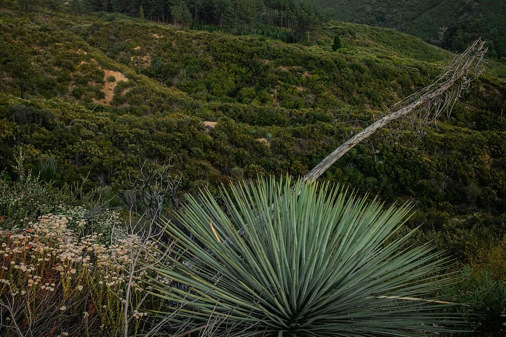 3 Day Retreat - Exploration in Stillness, WI, US 5