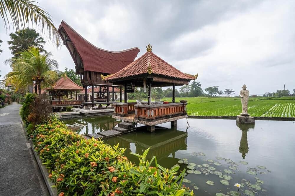 7 Day Sixth Element Yoga & Meditation Retreat in Bali, Indonesia 5