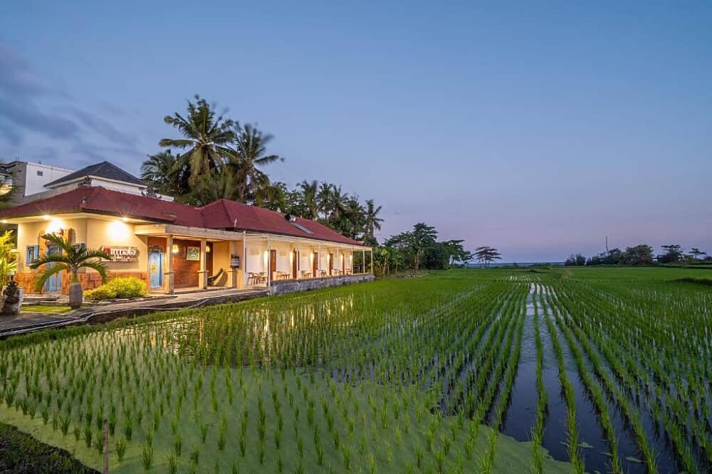 7 Day Sixth Element Yoga & Meditation Retreat in Bali, Indonesia 7