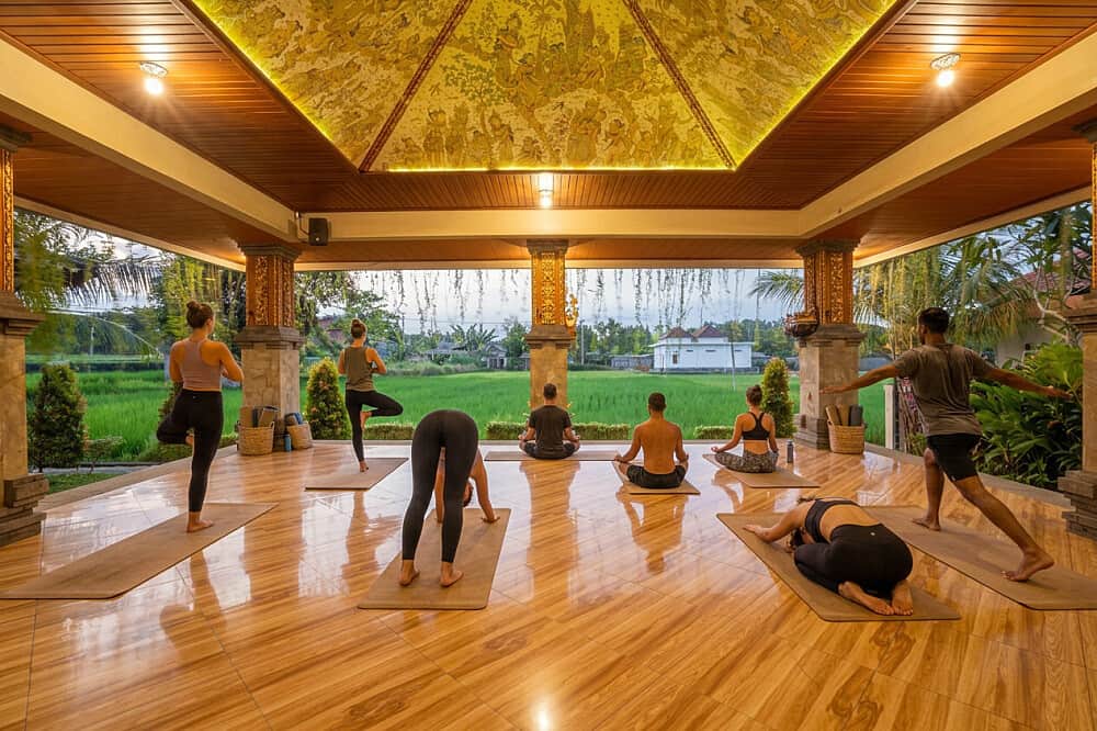 7 Day Sixth Element Yoga & Meditation Retreat in Bali, Indonesia 4