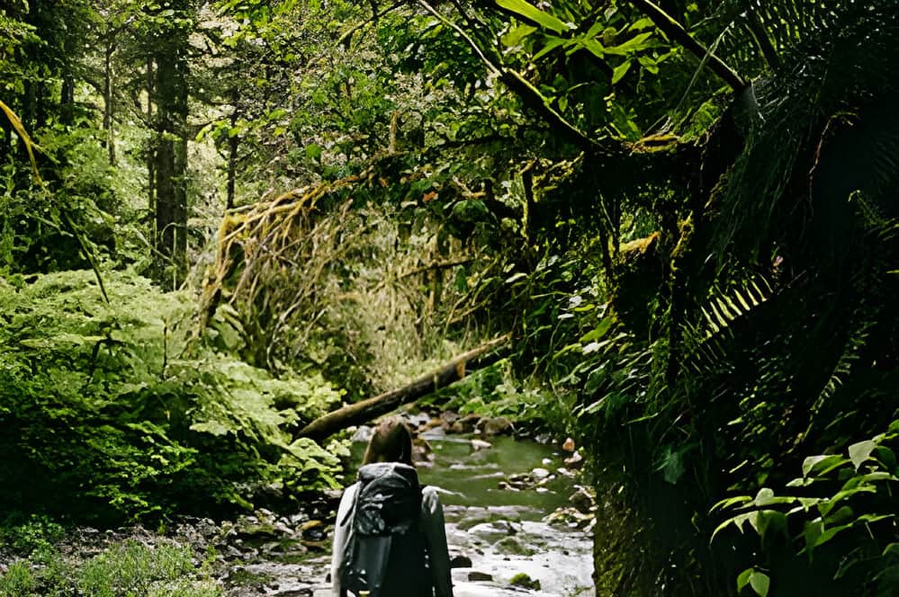 3 Day Hiking The Ardennes Trip in Belgium 8