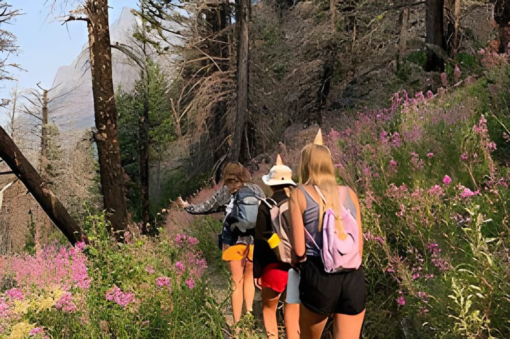 3 Day Hiking The Ardennes Trip in Belgium 1