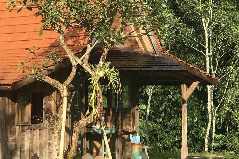 5 Day Unique Mountain Writing Retreat in Bali, Indonesia 6