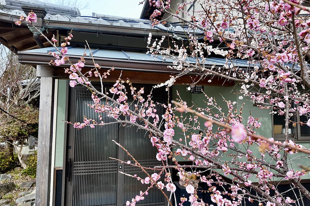 2 Day Black Belt Retreat at Ninja Temple in Japan 8