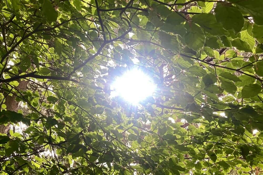 5 Day Nervous System Reset Retreat & Nature Immersion, Portugal 8