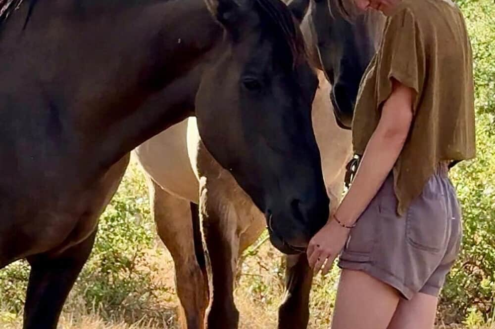 5 Day Somatic Horse Healing Retreat in Sao Luis, Portugal 2