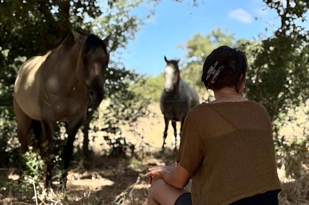 5 Day Somatic Horse Healing Retreat in Sao Luis, Portugal 4