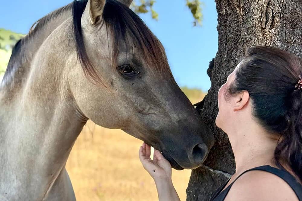 5 Day Somatic Horse Healing Retreat in Sao Luis, Portugal 6