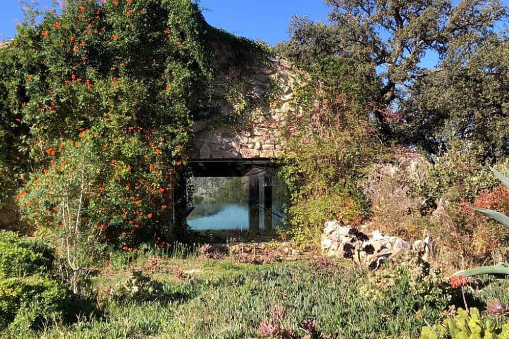 3 Day 1:1 Luxury Private Psilocybin Retreat in Spain 2