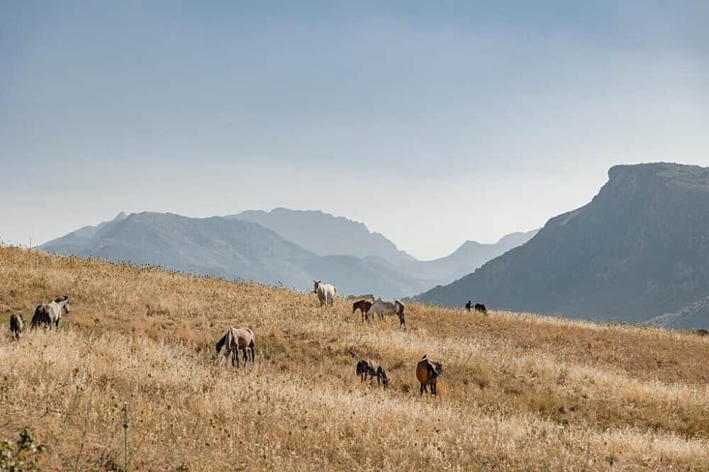 3 Day 1:1 Luxury Private Psilocybin Retreat in Spain 6