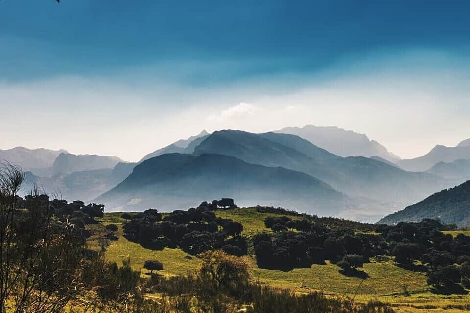 3 Day 1:1 Luxury Private Psilocybin Retreat in Spain 4