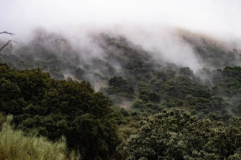 3 Day 1:1 Luxury Private Psilocybin Retreat in Spain 7