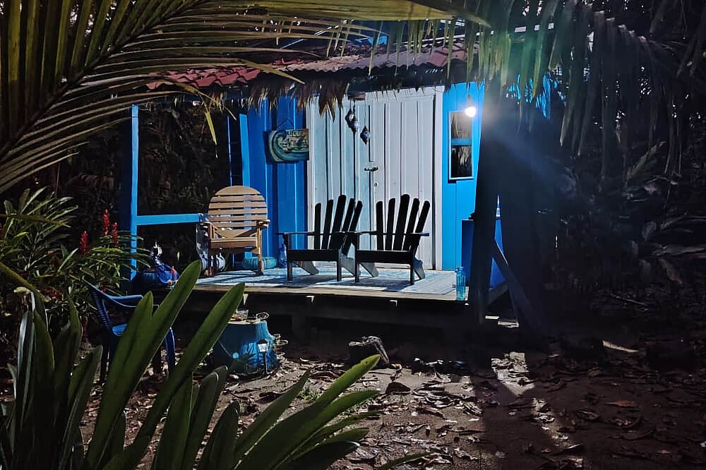 9 Day (Flexible) 1:1 Mushroom Medicine Initiation, Costa Rica 4