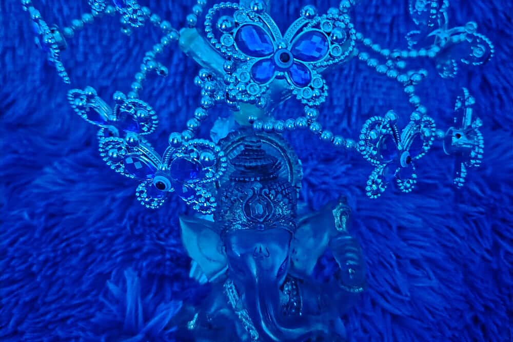 9 Day (Flexible) 1:1 Mushroom Medicine Initiation, Costa Rica 5