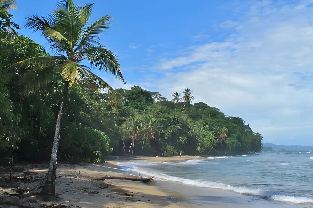 9 Day (Flexible) 1:1 Mushroom Medicine Initiation, Costa Rica 6