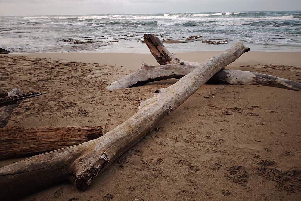 9 Day (Flexible) 1:1 Mushroom Medicine Initiation, Costa Rica 7