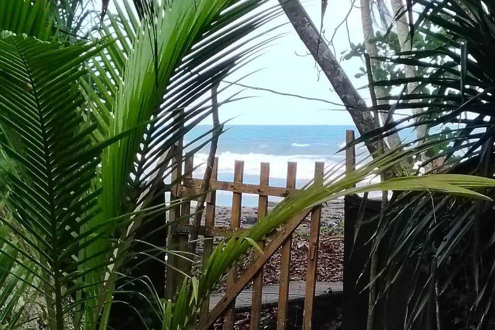 9 Day (Flexible) 1:1 Mushroom Medicine Initiation, Costa Rica 8