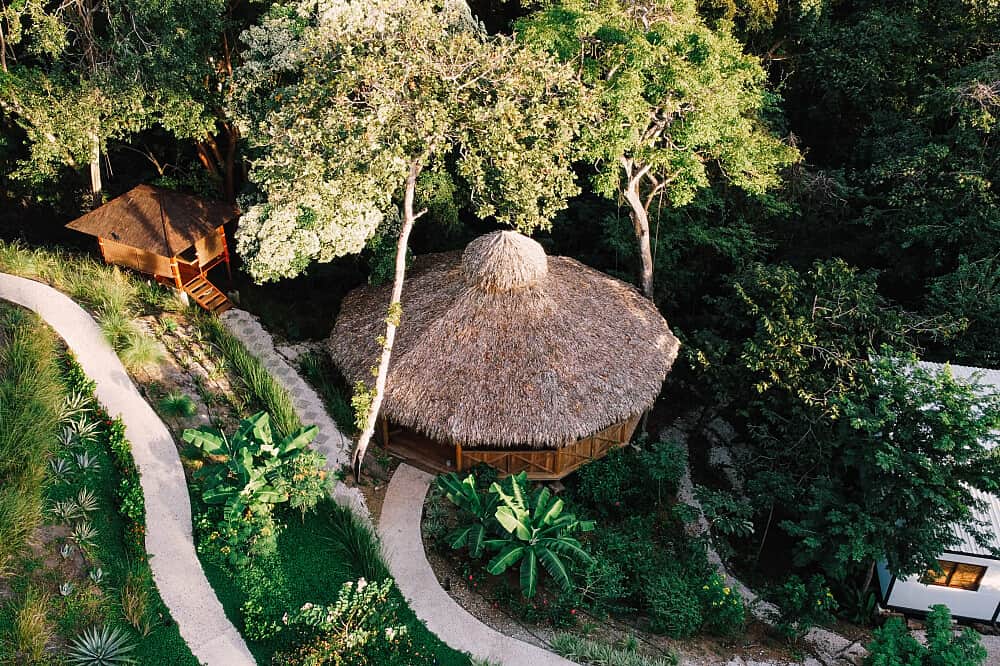 7 Day Return to Bliss: Sacred Plant Medicine & Yoga in Costa Rica 5