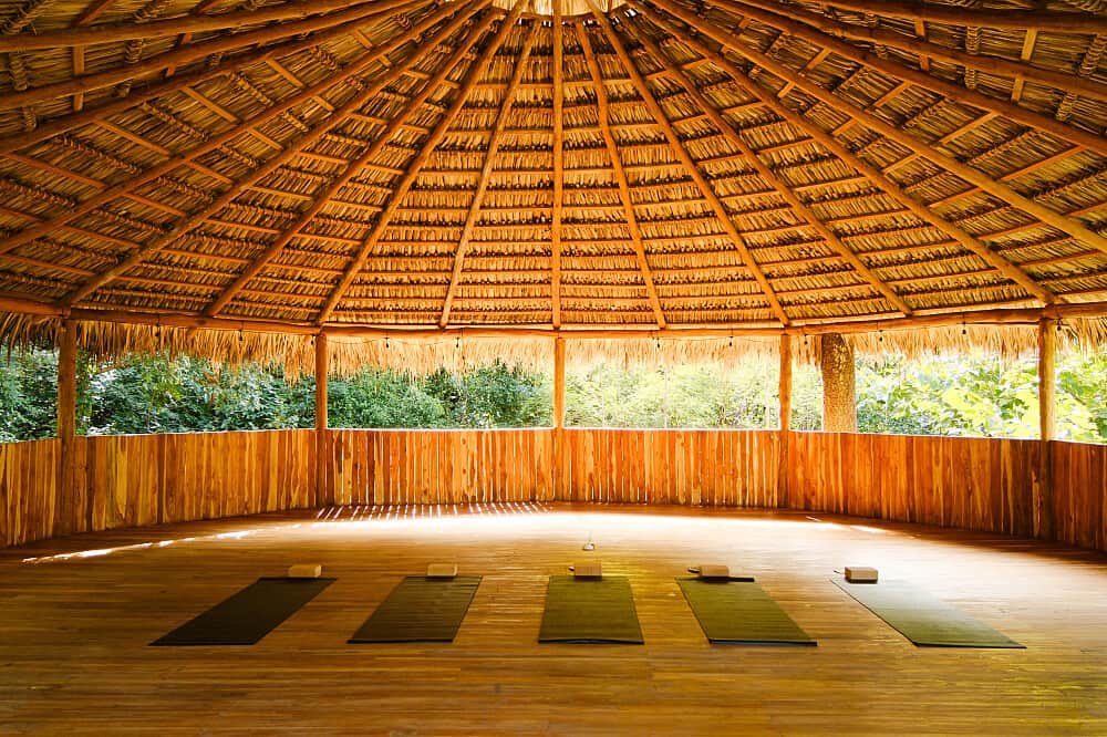 7 Day Return to Bliss: Sacred Plant Medicine & Yoga in Costa Rica 7