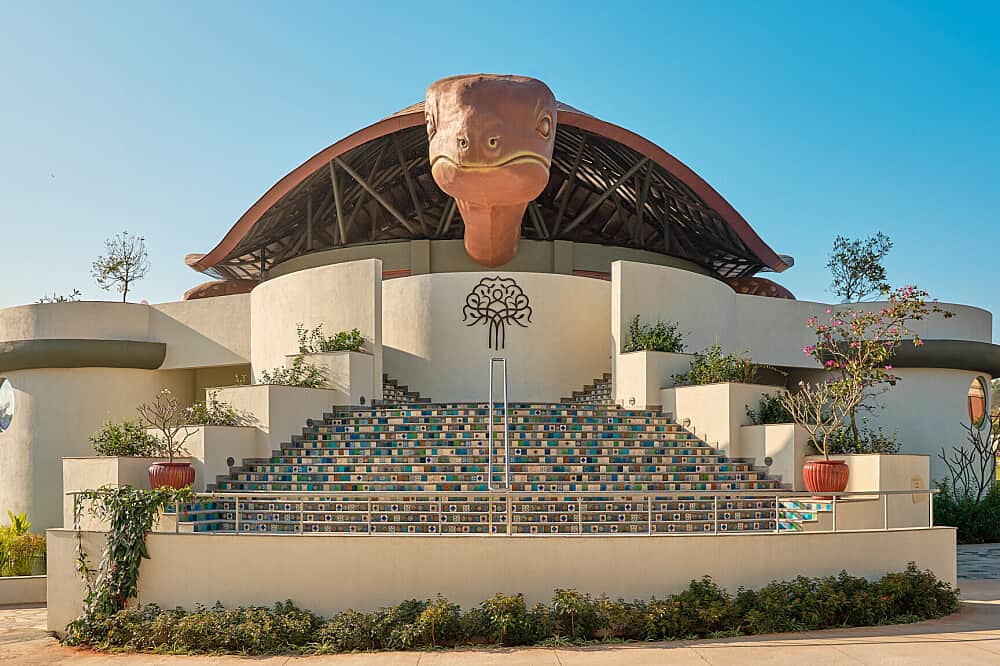 3 Day Digital Detox & Cellular Reset Retreat in Karnataka, India 6