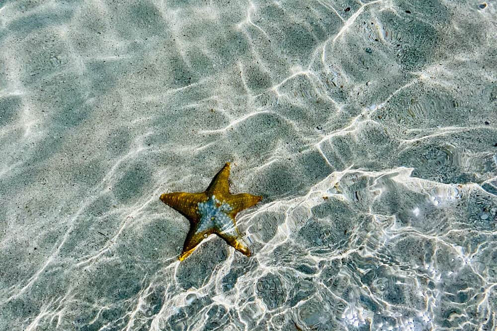 4 Day Private Immersion for Deep Rest and Renewal in Tanzania 6