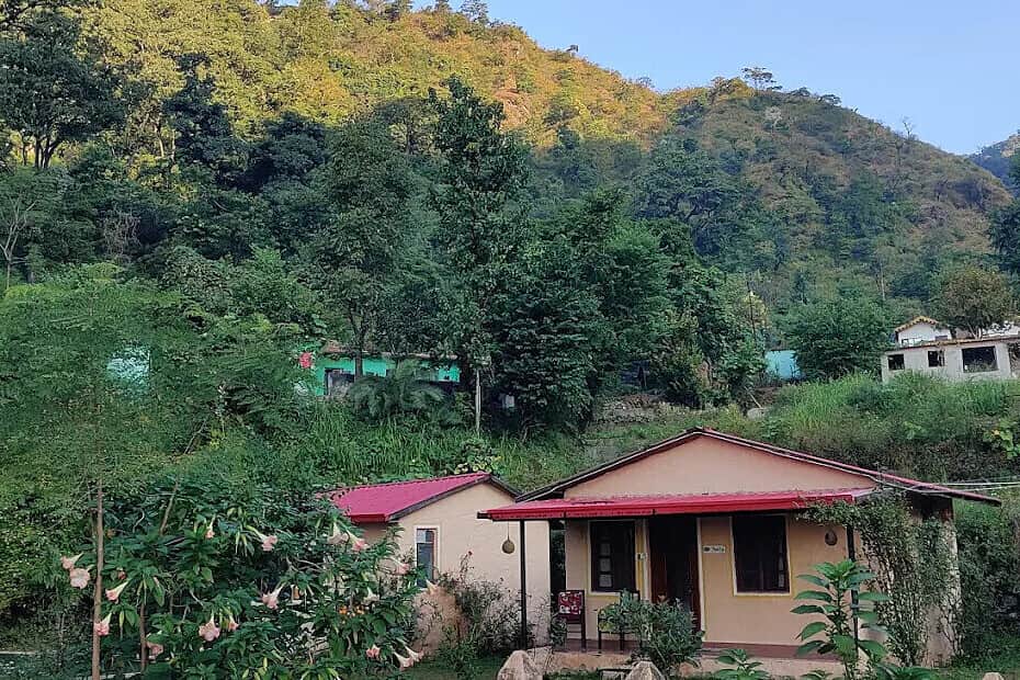 14 Day Ayurveda with Deep Cleanse & Detox Retreat Program, India 6