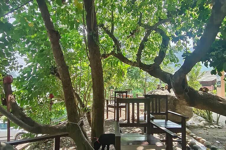 28 Day Full Body Ayurvedic Detox Retreat Program & Cleanse, India 6