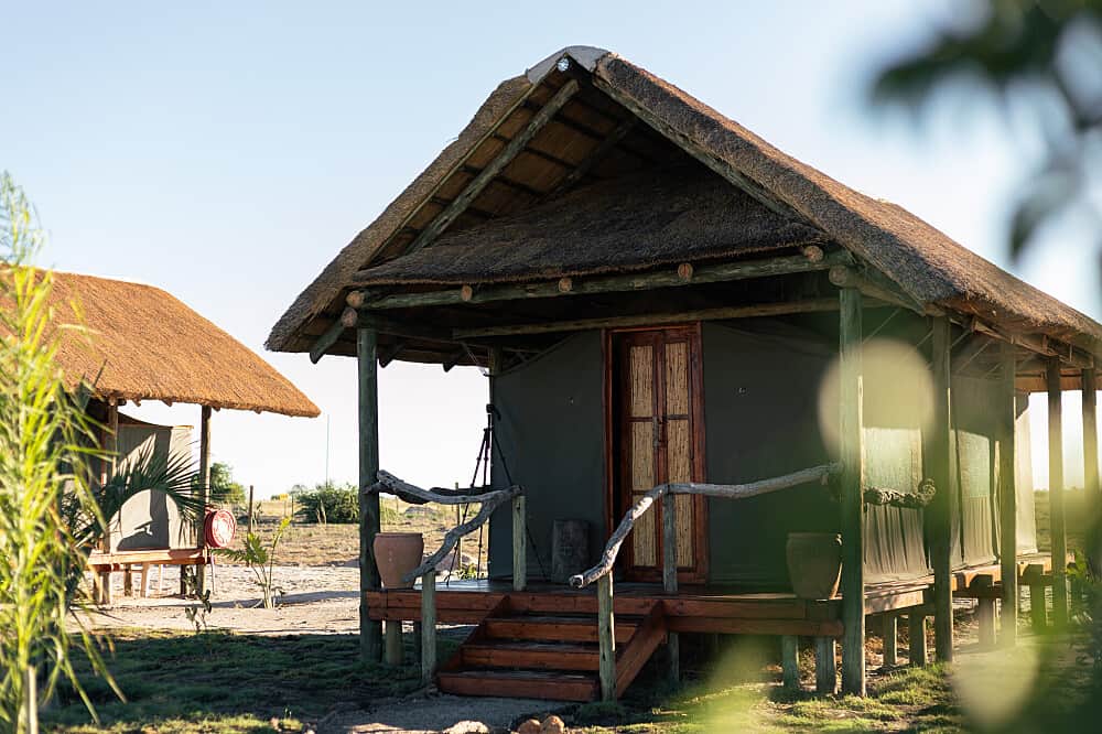 8 Day Wild & Free: Africa Retreat in Botswana 4