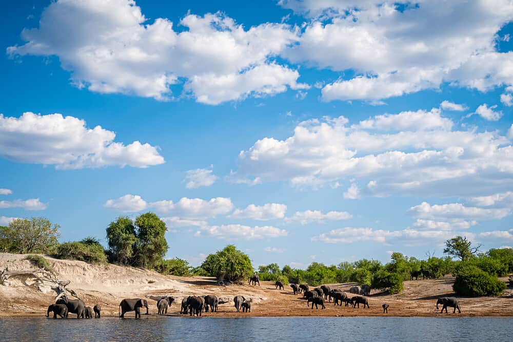 8 Day Wild & Free: Africa Retreat in Botswana 7