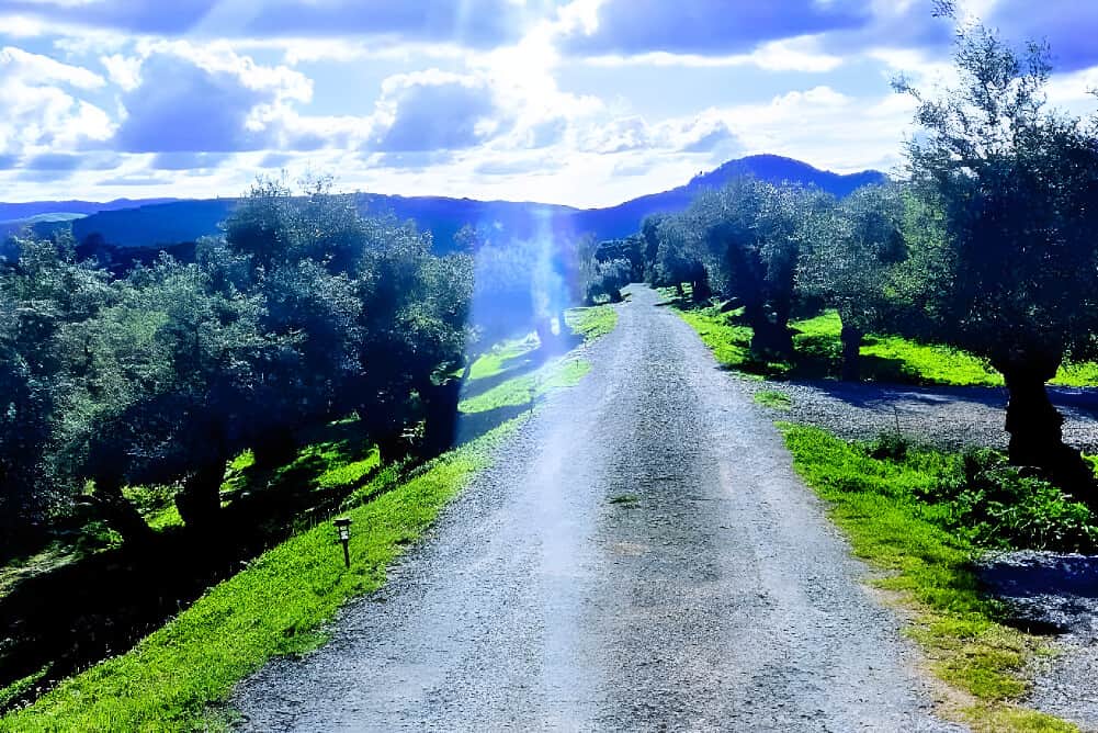 3 Day Inner Child Healing: Psilocybin with Art Retreat, Spain 7