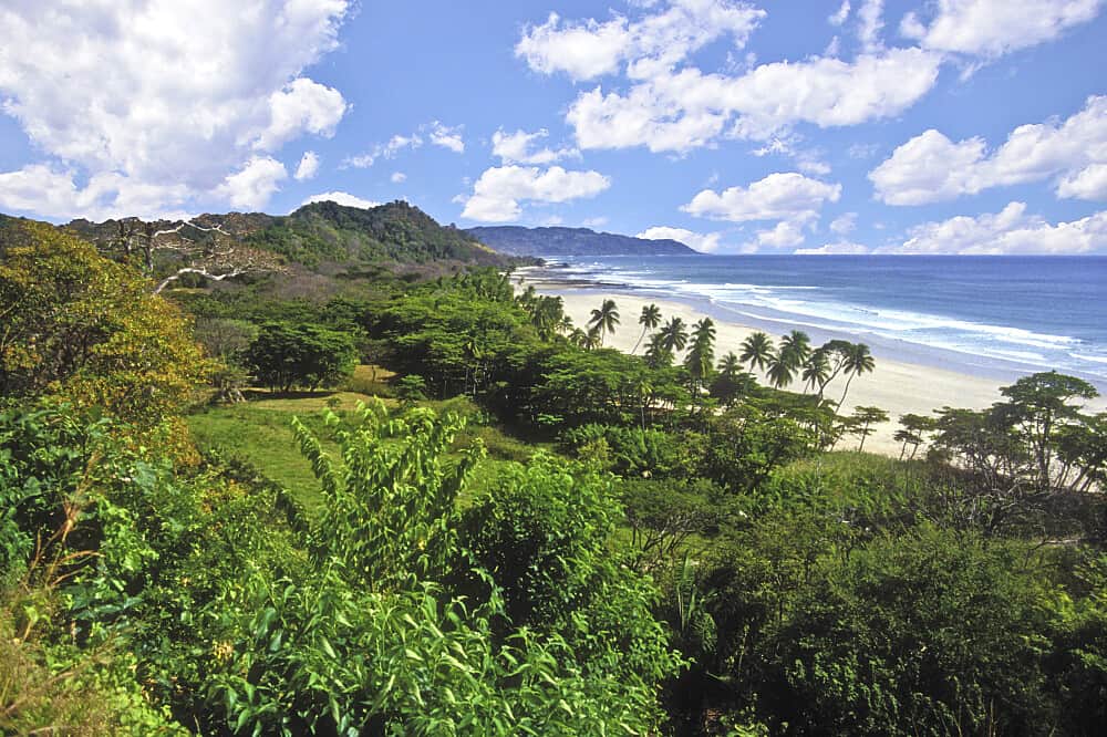 4 Day 1:1 Nervous System Reset in Nosara, Costa Rica 4