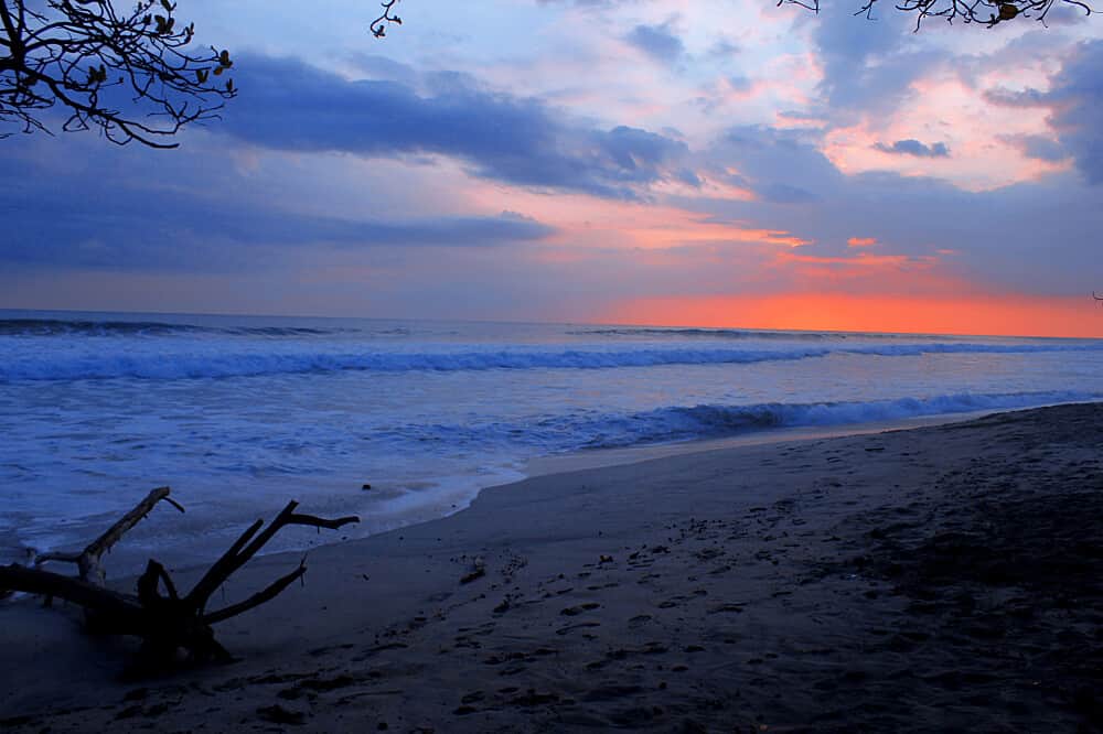 4 Day 1:1 Nervous System Reset in Nosara, Costa Rica 7