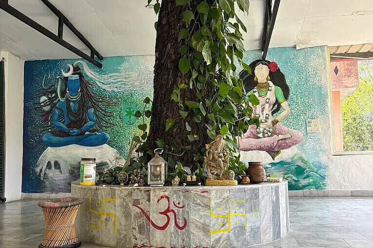 14 Day Yoga Retreat Program & Relaxation Retreat in India 8