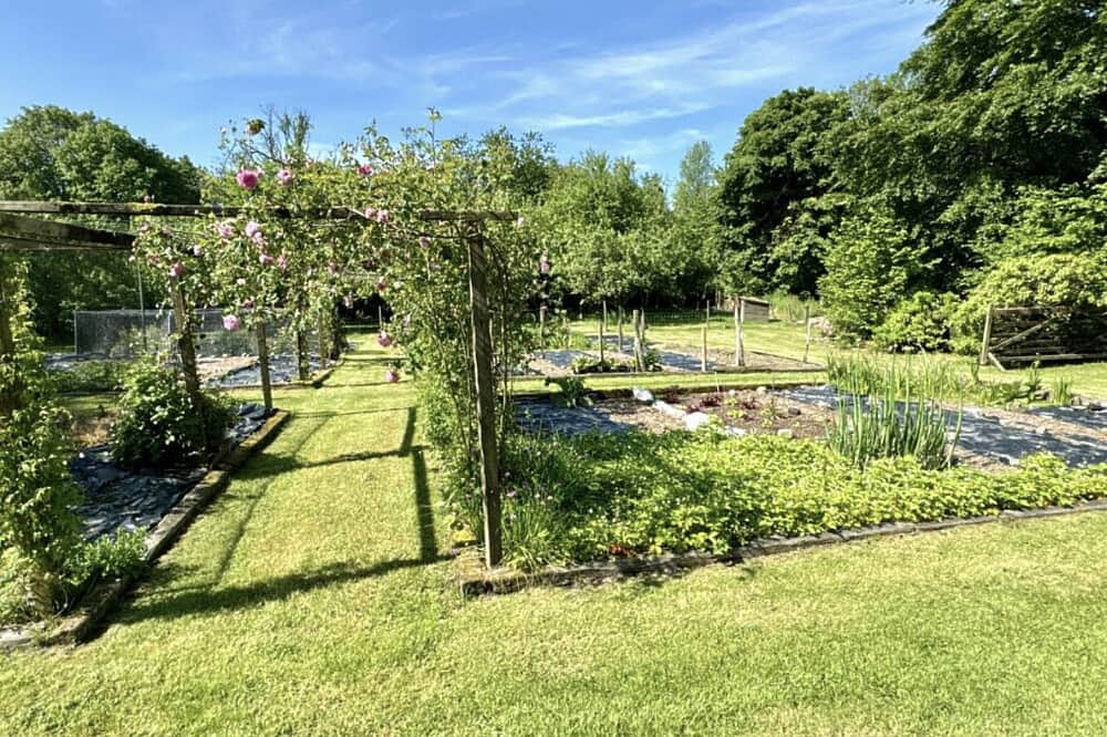 5 Day Yoga & Meditation Retreat: Exploring Beauty, Wales, UK 8