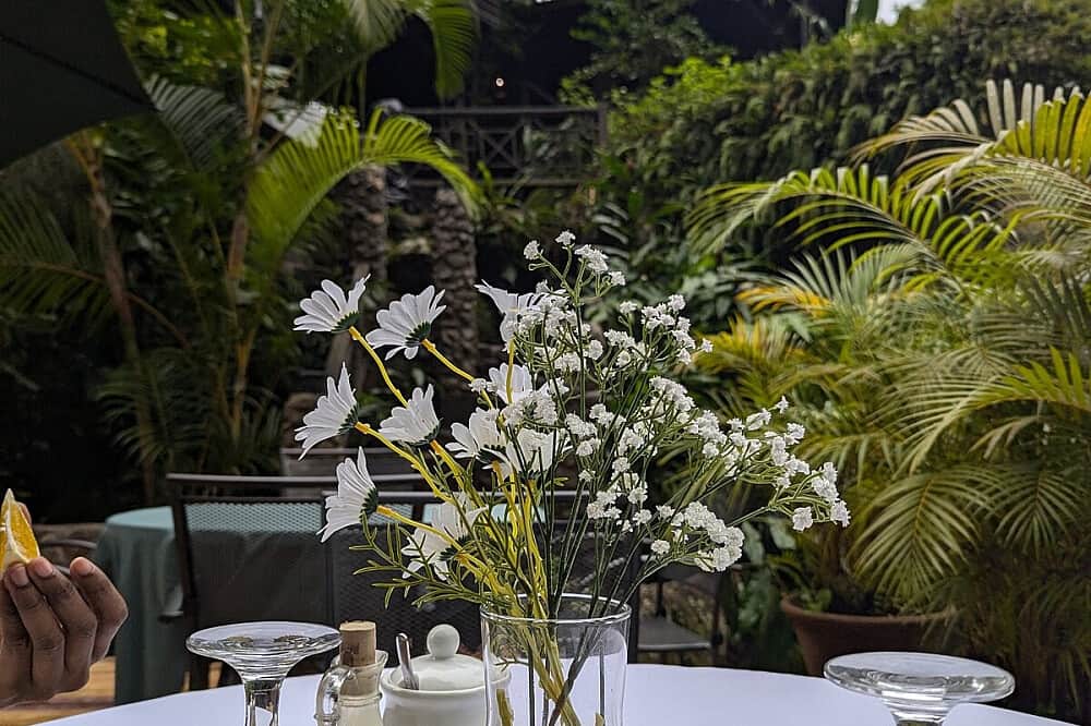 7 Day Burnout to Breakthrough Retreat 1:1 Solo Retreat in Jamaica 4