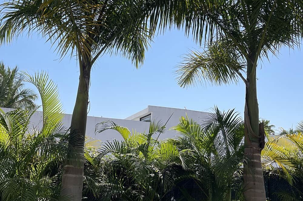 2 Day 1-1 Psilocybin Mushroom Retreat in Mexico 8