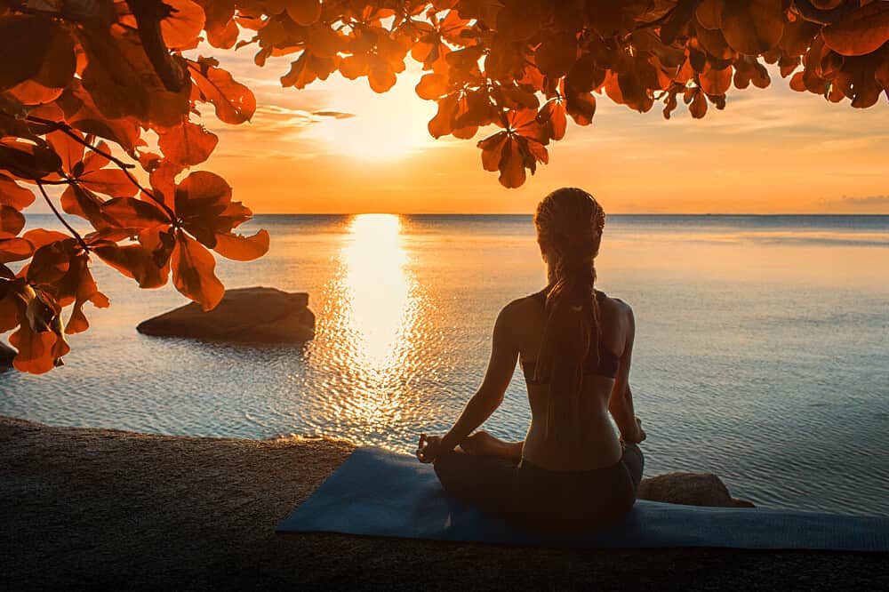 18 Day (Flexible) Ayurveda Healing Retreat in Kerala, India 2