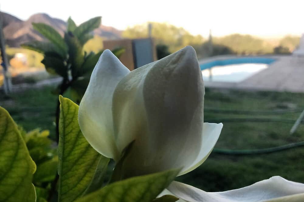 5 Day Tantric Kundalini Festival Retreat in Mendoza, Argentina 6