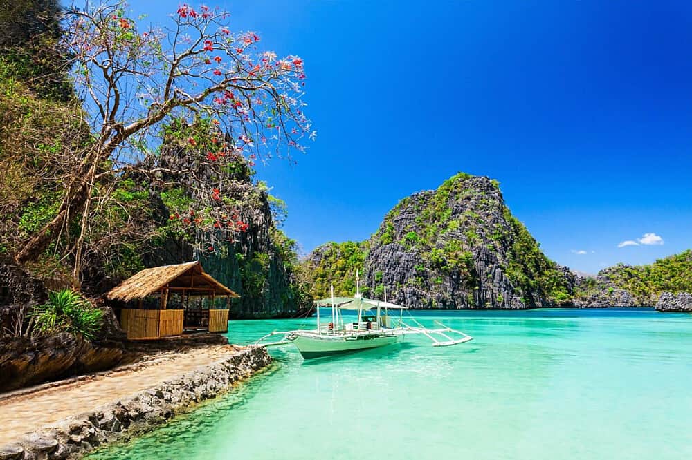 7 Day Ethical Freediving Certification in Palawan, Philippines 2
