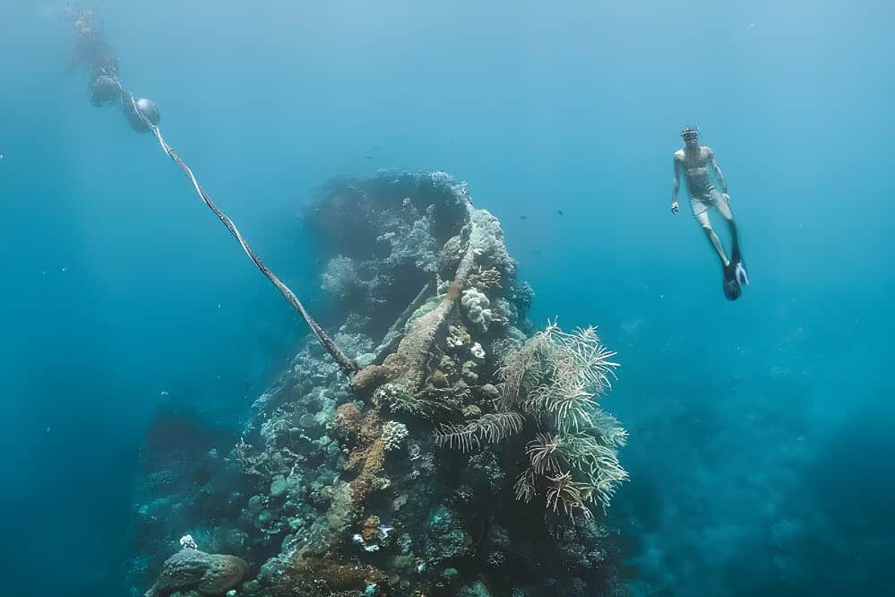 7 Day Ethical Freediving Certification in Palawan, Philippines 8