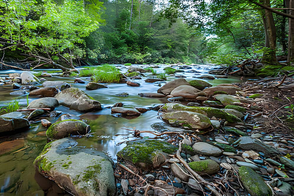 3 Day Grief & Loss Women's Retreat In Georgia, US 5