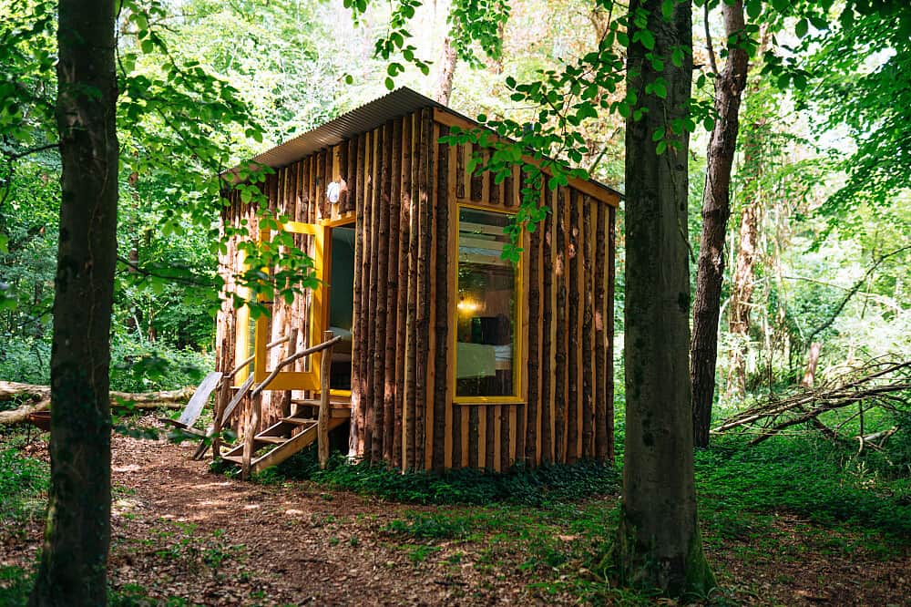 3 Day Summer Wild Retreat in Bradford-on-Avon, UK 7